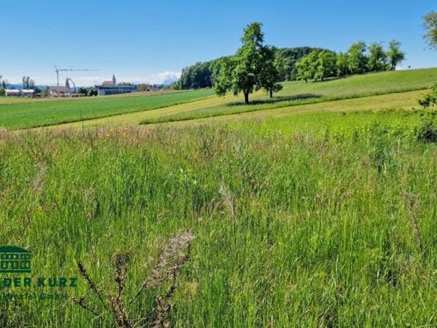 Grundstück kaufen in Moosdorf, Oberösterreich