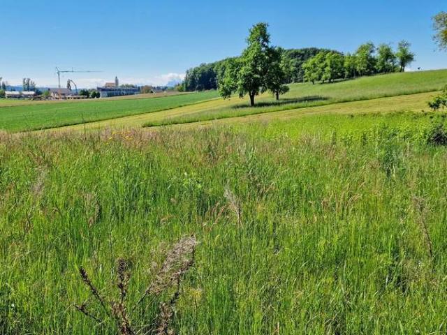 Grundstück kaufen in Haselbach, Braunau am Inn