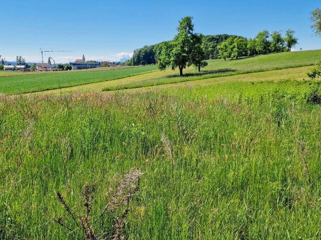 Immobilie kaufen in Moosdorf, Oberösterreich