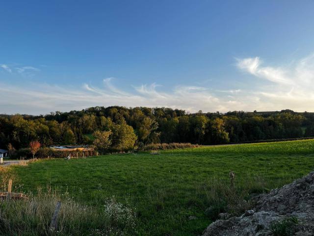 Immobilie kaufen in Ennsberg, Buchkirchen