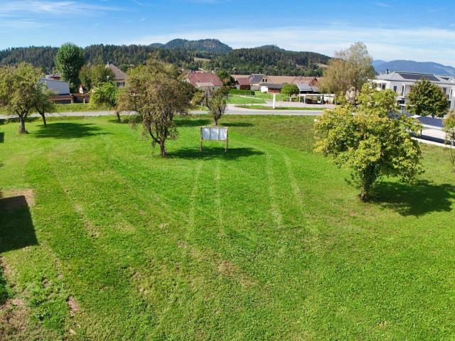 Immobilie kaufen in Eberndorf/Dobrla vas, Eberndorf