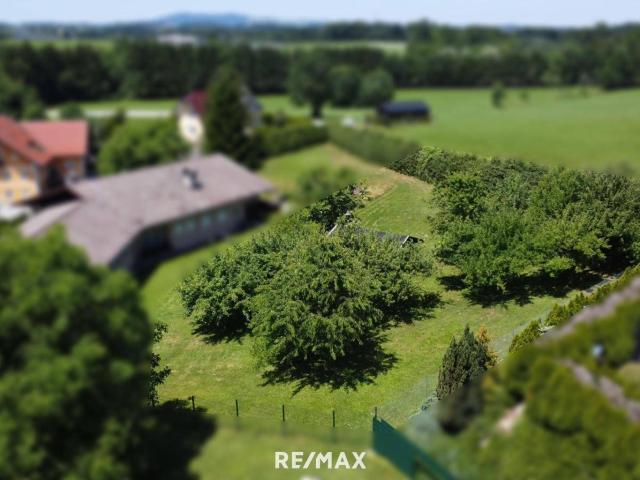 Immobilie kaufen in Eugendorf, Salzburg