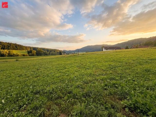 Grundstück kaufen in Weinitzen, Steiermark