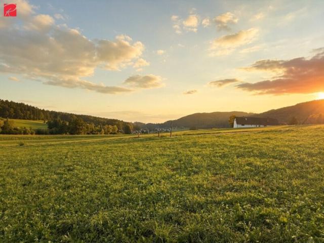 Grundstück kaufen in Weinitzen, Steiermark