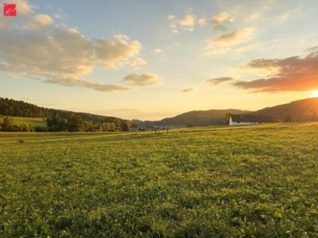 Grundstück kaufen in Gersdorf-Feistritz, Steiermark