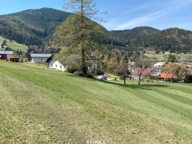Grundstück kaufen in Neuberg an der Mürz, Steiermark