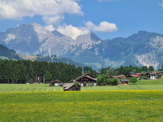 Immobilie kaufen in Saalfelden, Salzburg