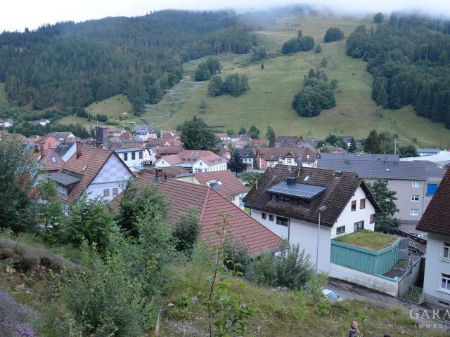 Erdgeschosswohnung kaufen in Todtnau (Kernstadt), Todtnau