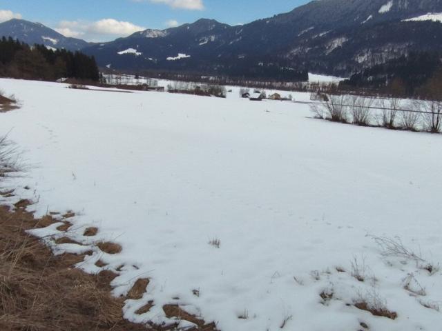 Grundstück kaufen in Berg im Drautal, Kärnten