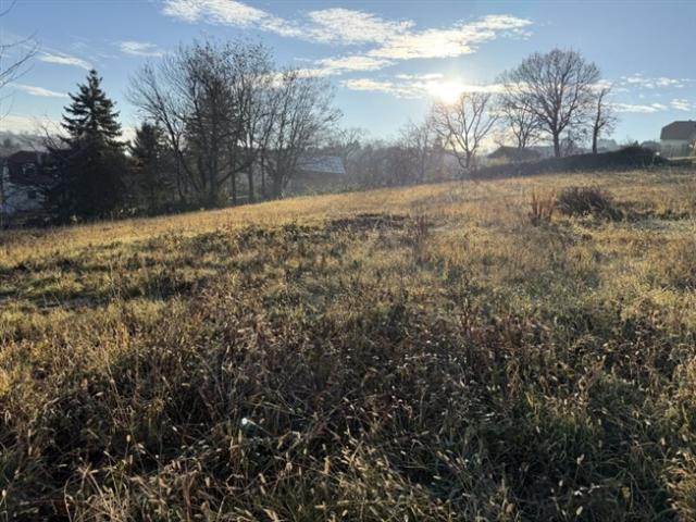 Grundstück kaufen in Wiesen, Burgenland