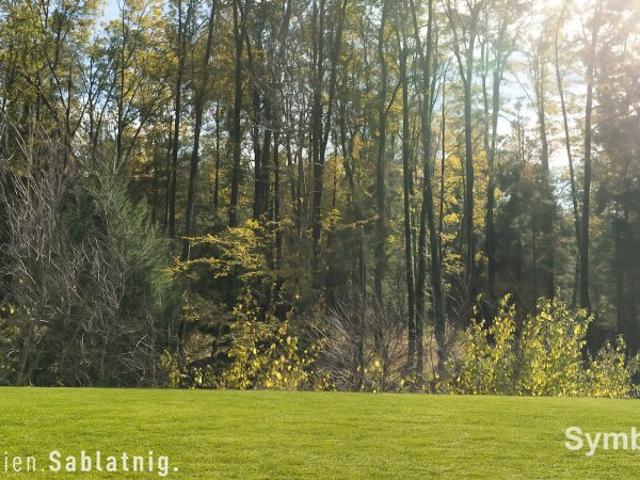 Grundstück kaufen in Haselsdorf-Tobelbad, Steiermark