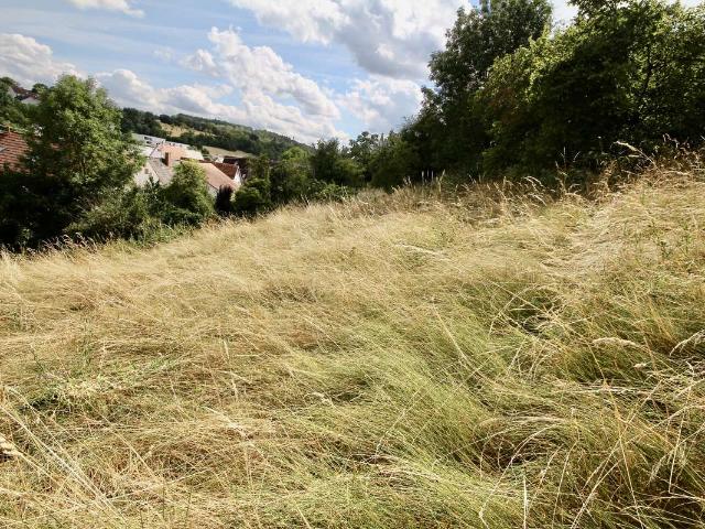 Erdgeschosswohnung kaufen in Weissach, Landkreis Böblingen