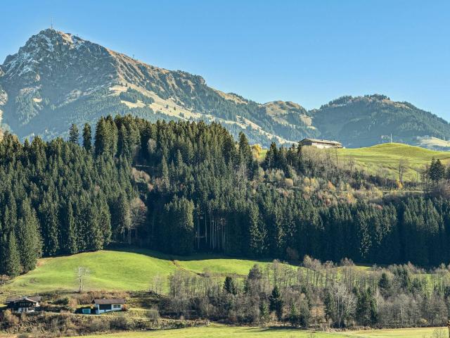 Apartment mieten in Reith bei Kitzbühel, Tirol