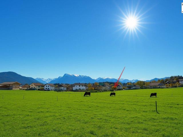 Immobilie kaufen in Seewalchen, Seekirchen