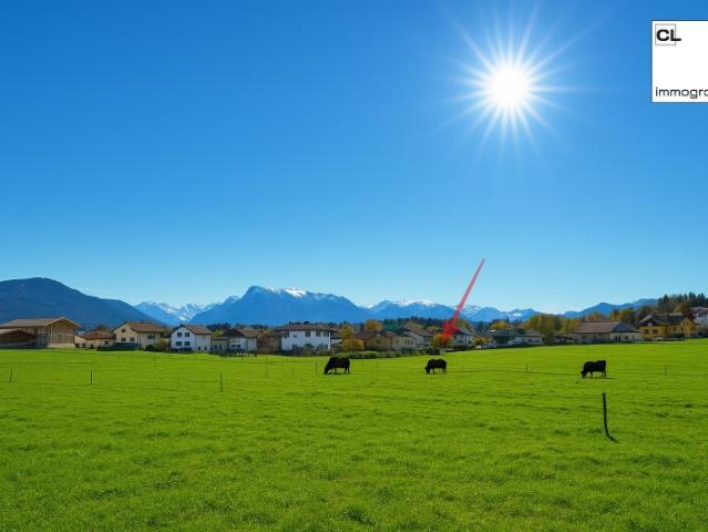 Grundstück kaufen in Seekirchen, Salzburg