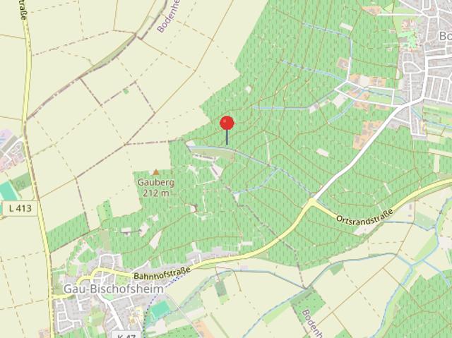 Erdgeschosswohnung kaufen in Bodenheim, Rheinland-Pfalz