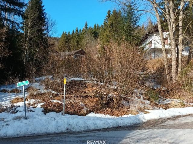Grundstück kaufen in Spital am Semmering, Steiermark
