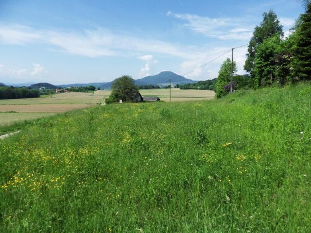 Grundstück kaufen in Maria Saal, Kärnten