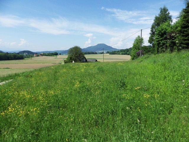 Immobilie kaufen in Ratzendorf, Maria Saal