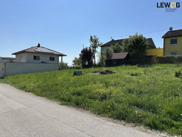 Immobilie kaufen in Leonding, Oberösterreich