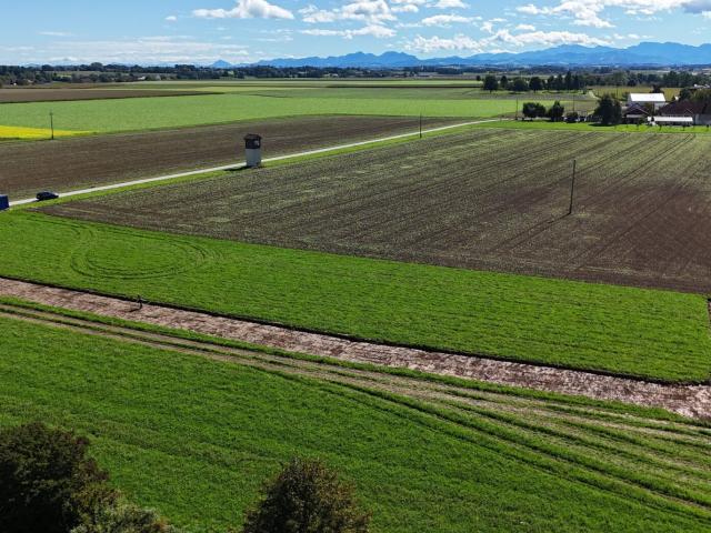 Grundstück kaufen in Steinerkirchen an der Traun, Oberösterreich
