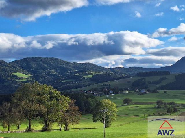 Grundstück kaufen in Weiz, Steiermark