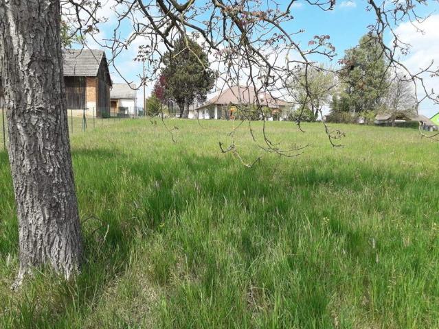 Grundstück kaufen in Oberwart, Burgenland