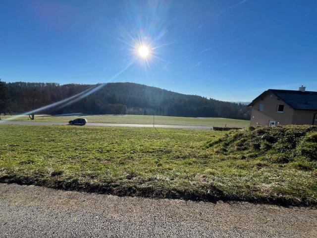 Grundstück kaufen in Weiz, Steiermark