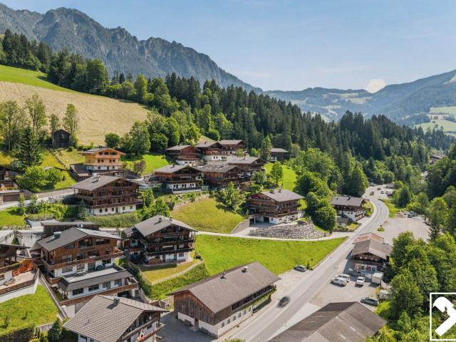 Immobilie kaufen in Alpbach, Tirol
