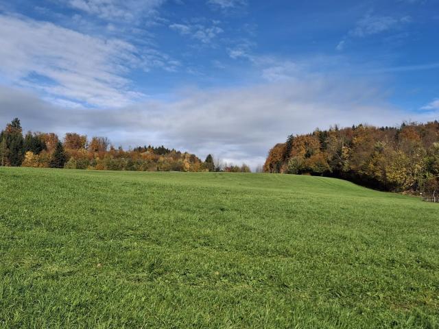 Grundstück kaufen in Bergheim, Salzburg