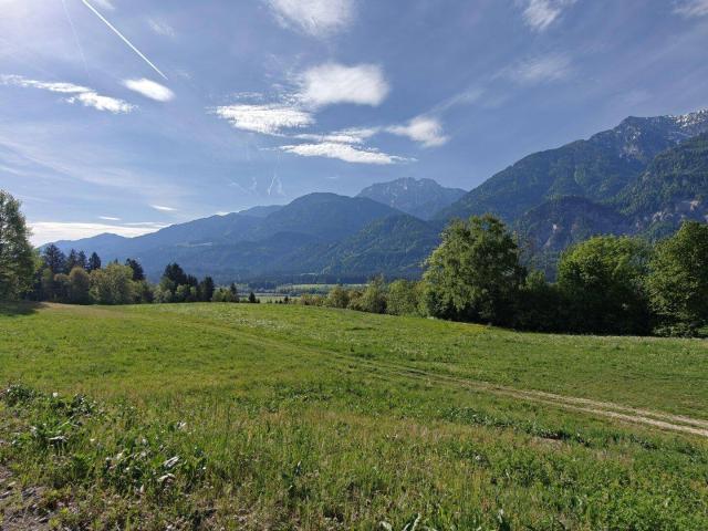 Immobilie kaufen in Dellach im Drautal, Kärnten