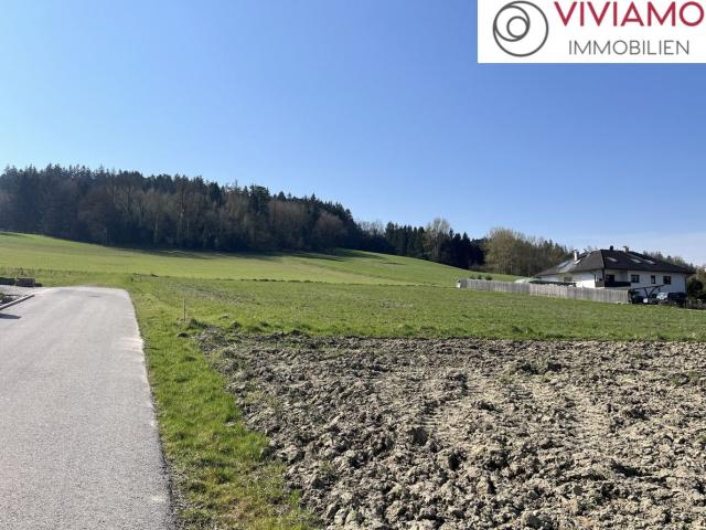 Grundstück kaufen in Kematen am Innbach, Oberösterreich