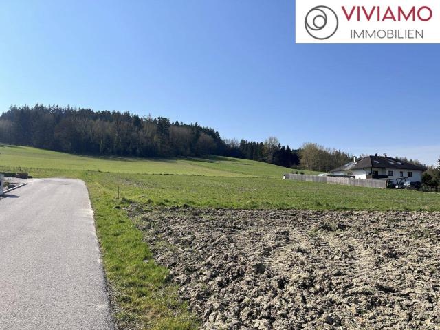 Immobilie kaufen in Schalbach, Pichl bei Wels