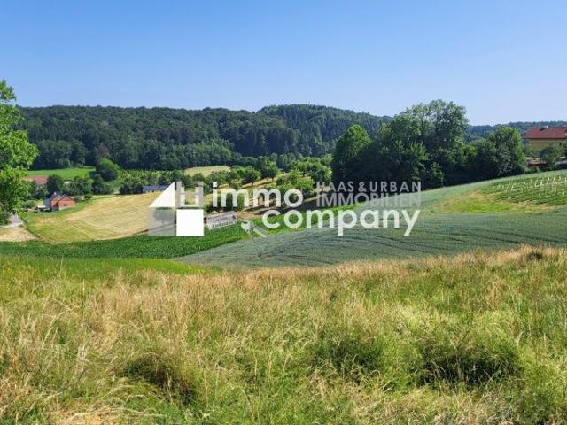 Grundstück kaufen in Kirchberg an der Raab, Steiermark