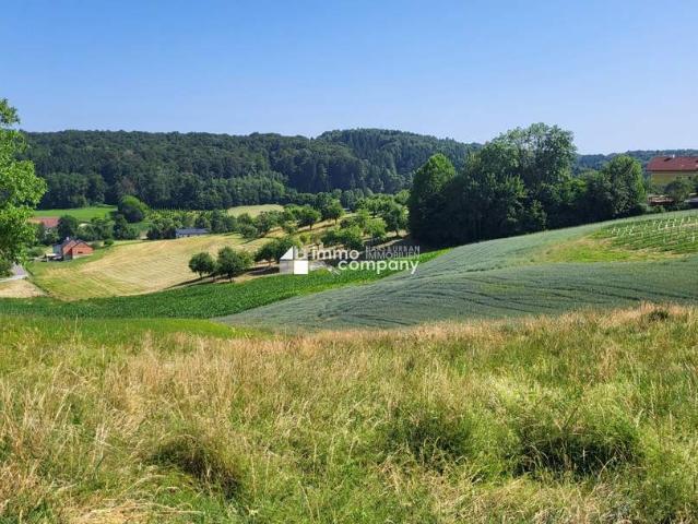 Grundstück kaufen in Steiermark