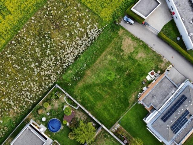 Grundstück kaufen in Marchtrenk, Bezirk Wels-Land