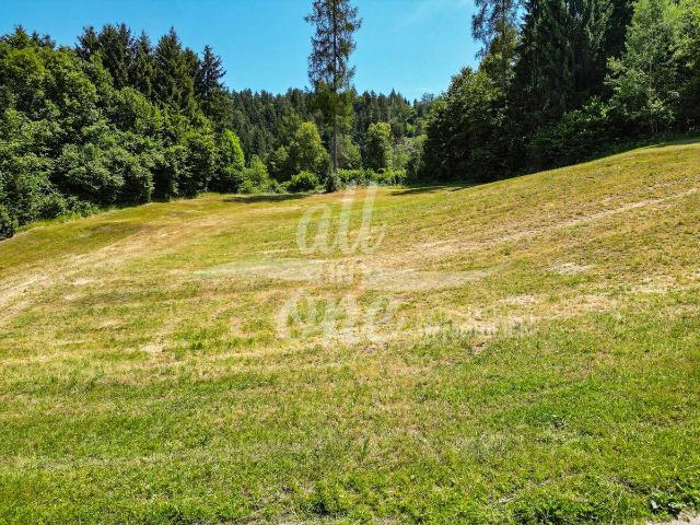 Immobilie kaufen in Ameisbichl, Moosburg