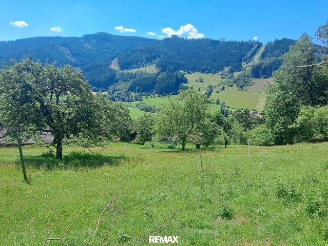 Grundstück kaufen in Steiermark