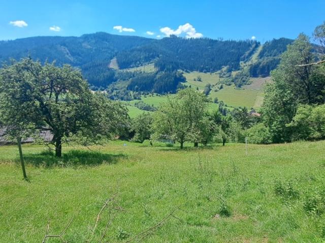 Grundstück kaufen in Kapfenberg, Steiermark