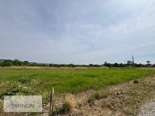 Grundstück kaufen in Purbach am Neusiedler See, Burgenland