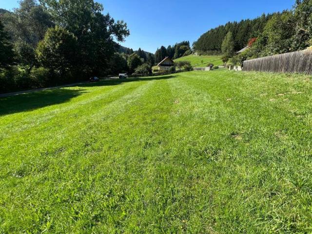 Immobilie kaufen in Semriach, Steiermark