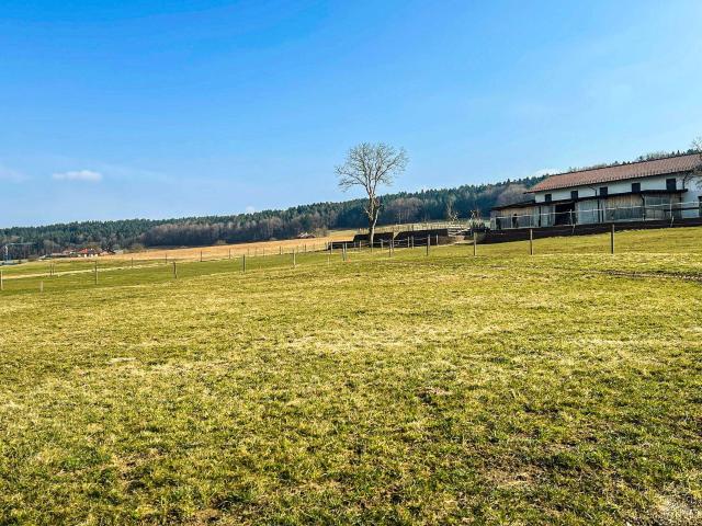 Immobilie kaufen in Schalchen, Oberösterreich