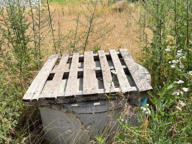 Grundstück kaufen in Bad Eisenkappel, Kärnten