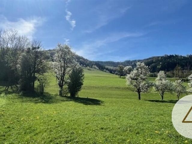 Grundstück kaufen in Randegg, Niederösterreich