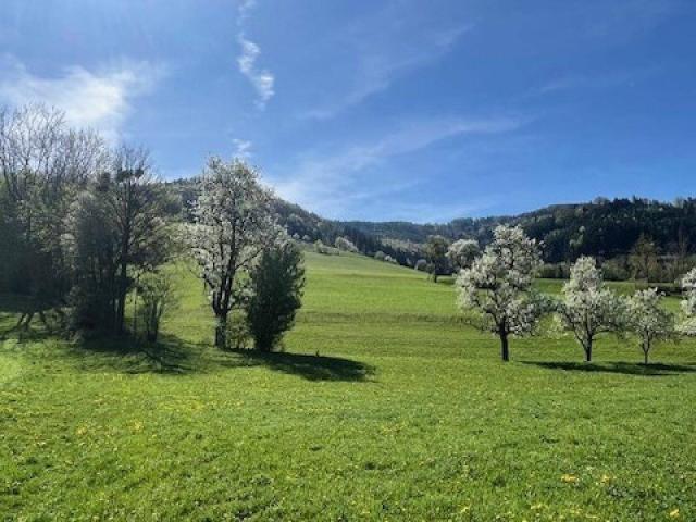 Immobilie kaufen in Wang, Niederösterreich