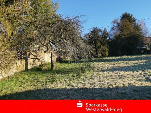 Erdgeschosswohnung kaufen in Hövels, Landkreis Altenkirchen (Westerwald)