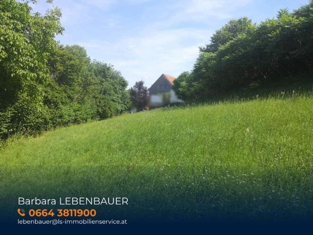 Grundstück kaufen in Steiermark