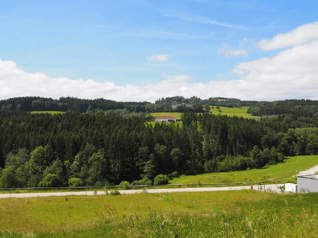 Immobilie kaufen in Haibach im Mühlkreis, Oberösterreich