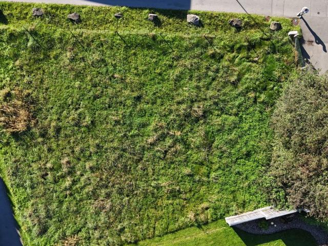 Grundstück kaufen in Hohenems, Vorarlberg
