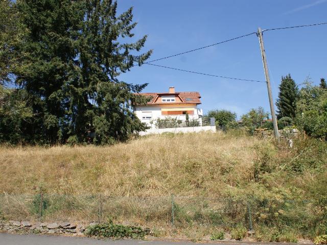 Landwirtschaft kaufen in Ziegelhütte, Weilrod